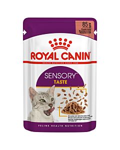 Royal Canin Chat FHN Sensory Taste en sauce