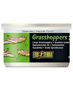 Exo Terra Reptilienfutter Grasshoppers