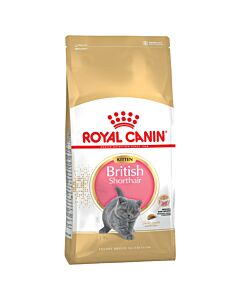 Royal Canin Feline British Shorthair Kitten 