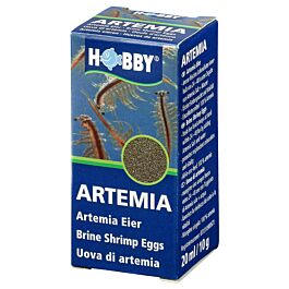 Hobby Artemia Eier 20ml