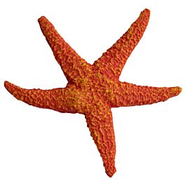 Deep Sea Décoration d'aquarium étoile de mer orange 12.5x12x2cm