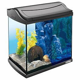 Tetra AquaArt LED Kit d'aquarium 30 L anthracite
