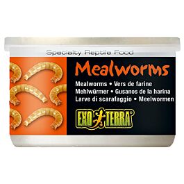 Exo Terra Reptilienfutter Mealworms 34g