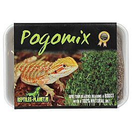 Reptiles Planet Pogomix-Bartagamen