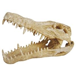 Lucky Reptile Décoration de terrarium Deco Skull Crocodile 