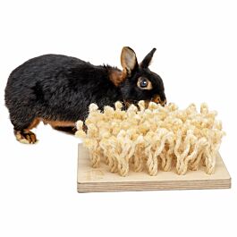 Bunny Planche à renifler pour rongeurs & petits animaux 24.2x9x24.2cm