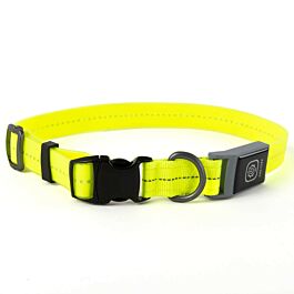 Freezack Collier lumineux PVC pour chiens jaune