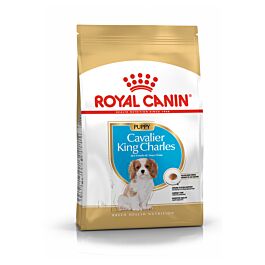 Royal Canin Cavalier King Charles Puppy 1.5kg