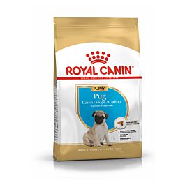 Royal Canin Hund Mops Puppy 1.5kg