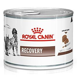 Royal Canin VET Chat/Chien Recovery 12x195g