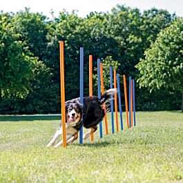 Trixie Dog Activity Agility Safer Slalom