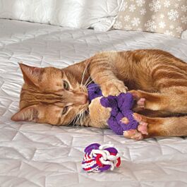 KONG Jouets pour chats Active Rope Red & Purple