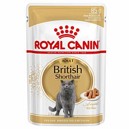 Royal Canin Feline Nassfutter British Shorthair 85g