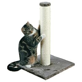 Arbre à chat Parla, 62 cm, gris platinium