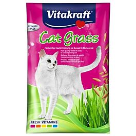 Vitakraft Cat Katzengras Samen Nachfüllbeutel 50g