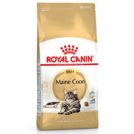 Royal Canin Maine Coon 31