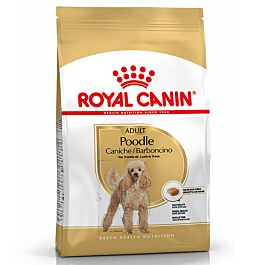Royal Canin Adult Pudel