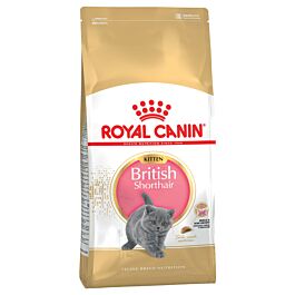 Royal Canin Feline British Shorthair Kitten 
